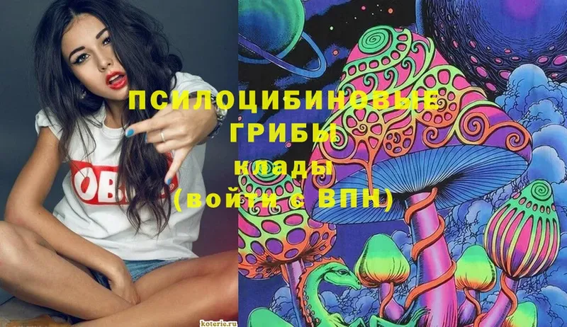 Псилоцибиновые грибы Psilocybe  Воркута 